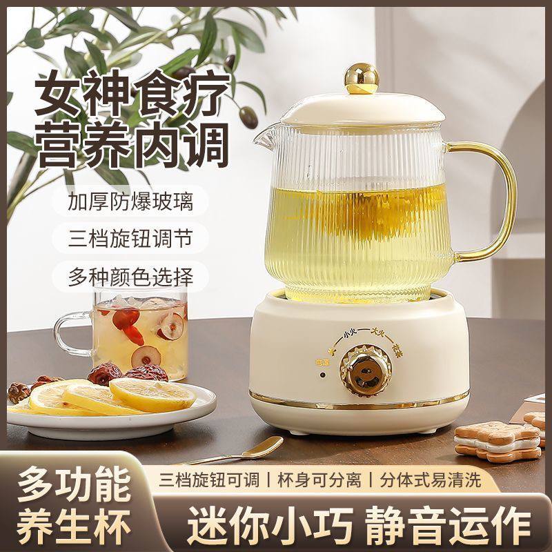 Mini Electric Health Teapot