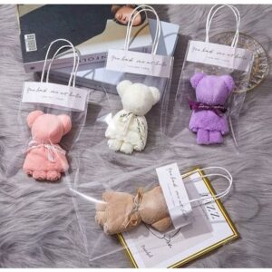 Cute Towel Bear Customized Gift | 可定制化毛巾熊