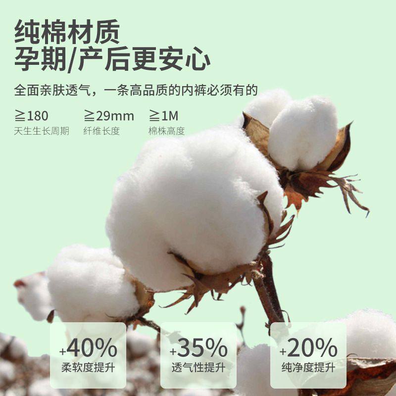 女士一次性旅行内裤 | Disposable Women Panties 5 Pcs - Image 4